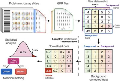 Endometrial cancer diagnostic and prognostic algorithms based on proteomics, metabolomics, and clinical data: a systematic review